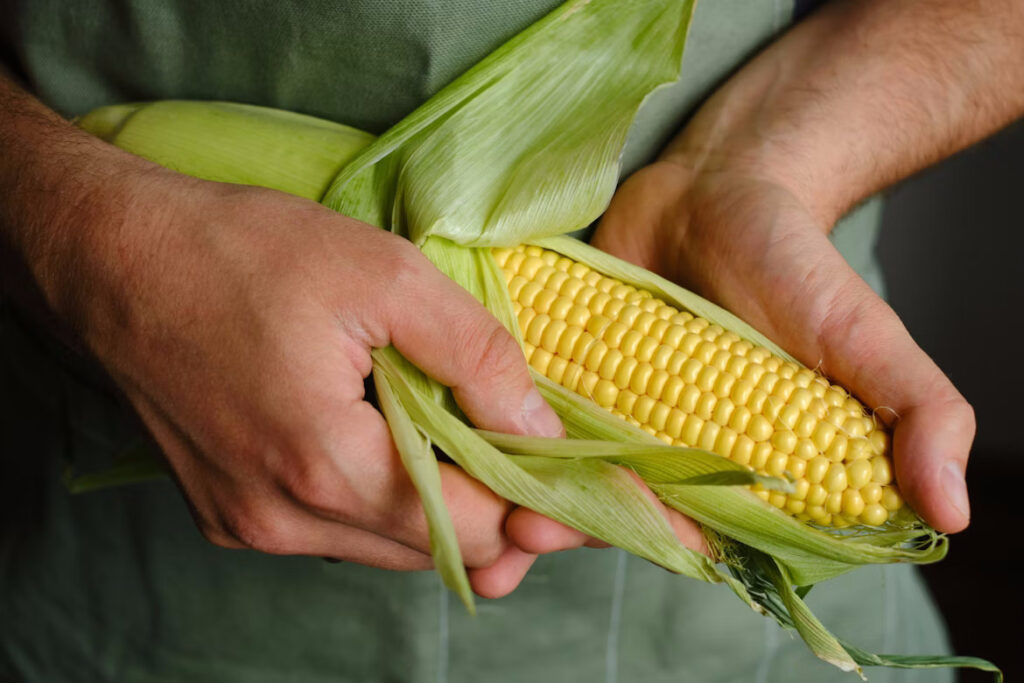 Apoyo a seguros agropecuarios y otros